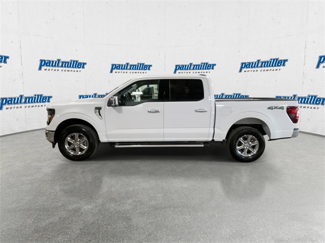 2025 Ford F-150 XLT photo 6