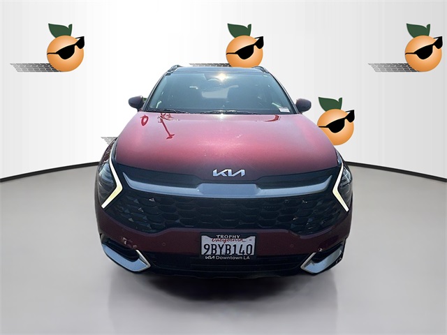 KNDPXCAGXP7019454