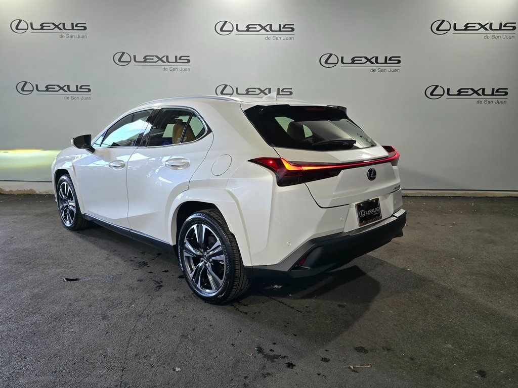2025 Lexus UX photo 8