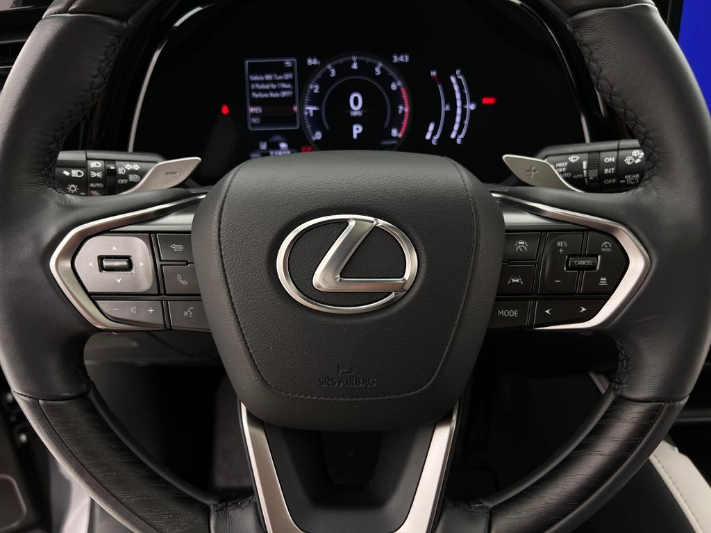2024 Lexus RX 350 Premium photo 21