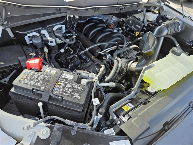 2024 Ford F-150 STX photo 18