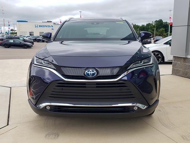 2023 Toyota Venza XLE photo 2