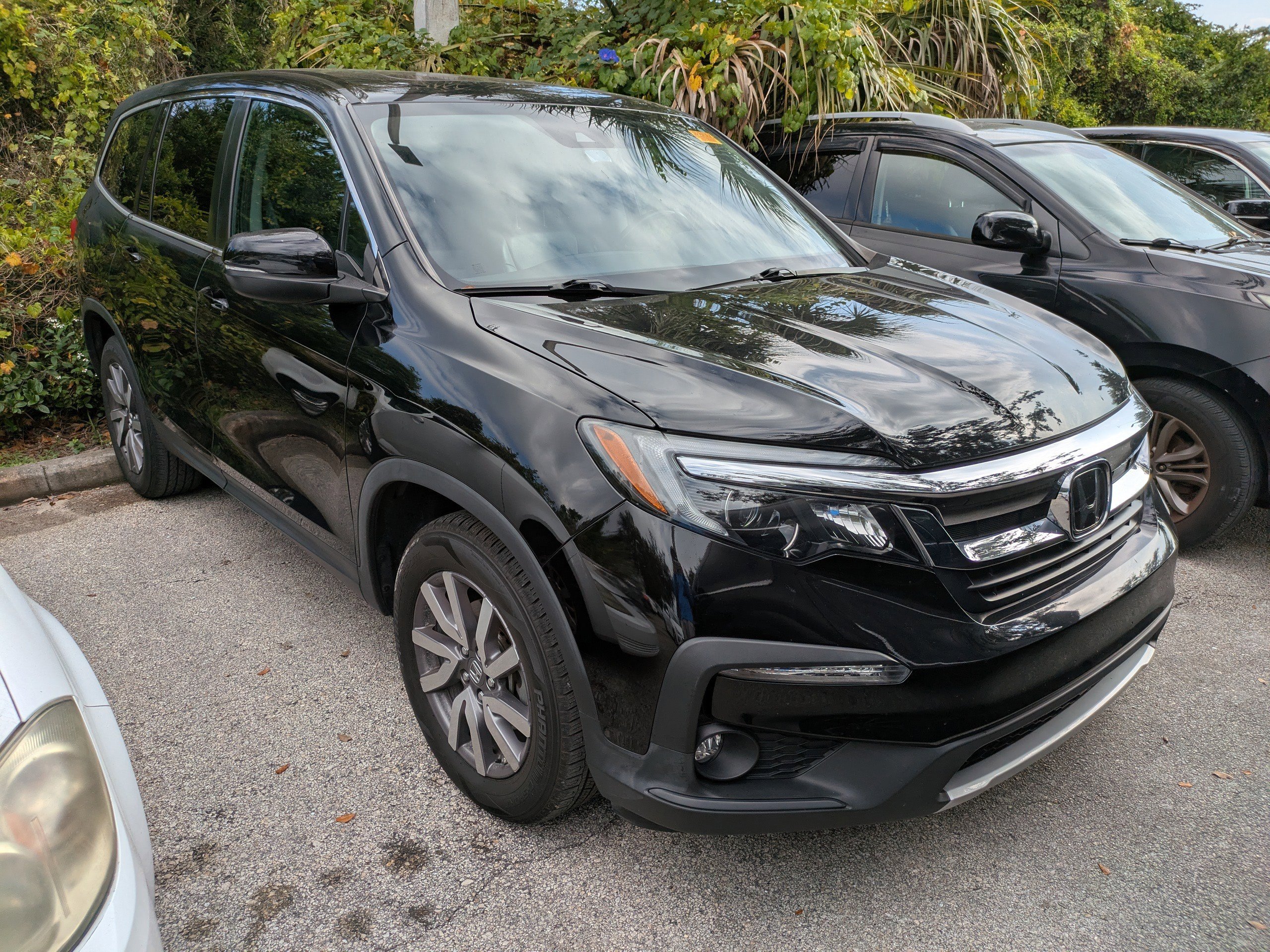 2020 Honda Pilot EX-L's photo
