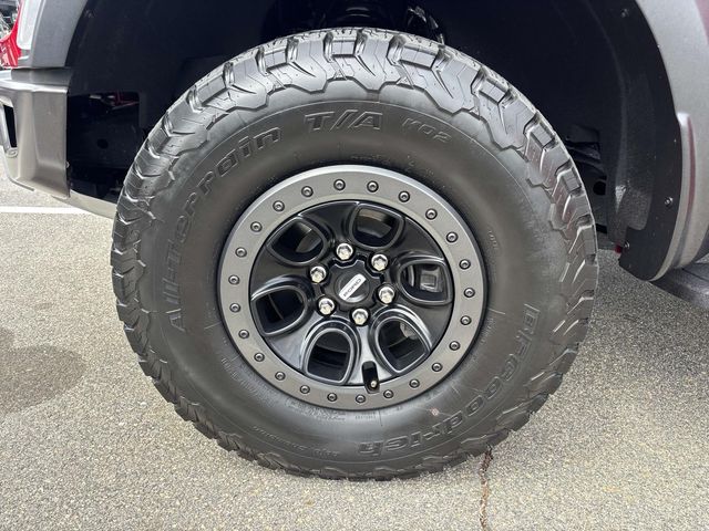 2021 Ford F-150 Raptor photo 7