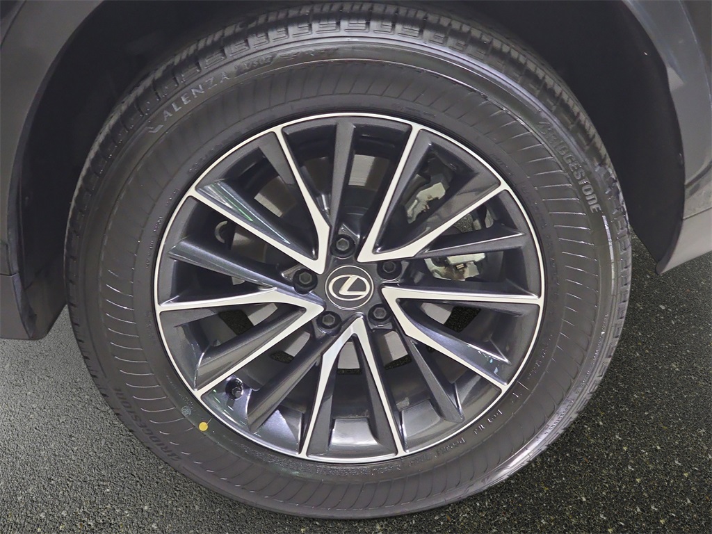 2024 Lexus NX 350h photo 29