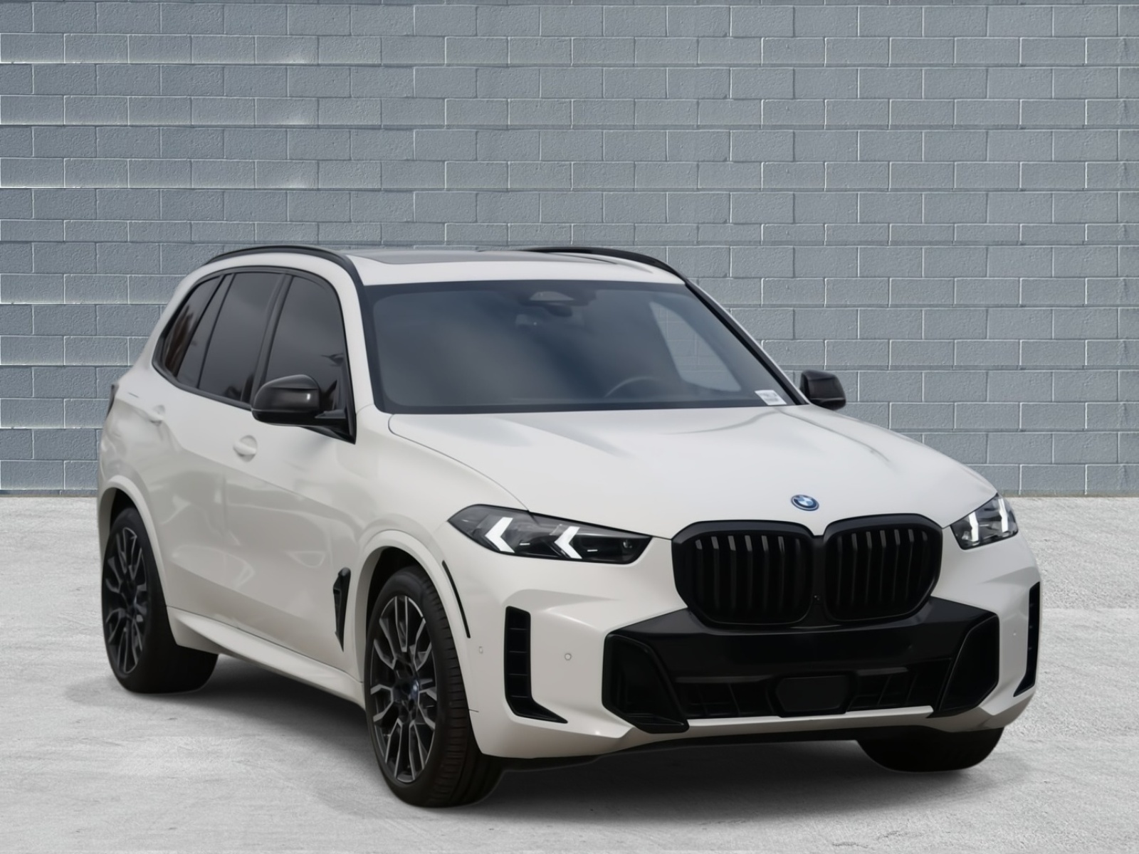 2024 BMW X5 50e's photo
