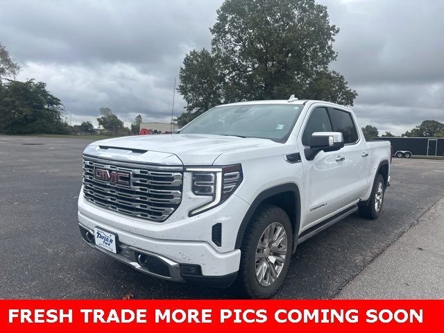 2022 Gmc Sierra 1500 Denali photo 2