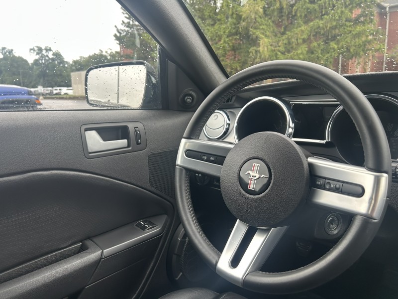2007 Ford Mustang GT Deluxe photo 6