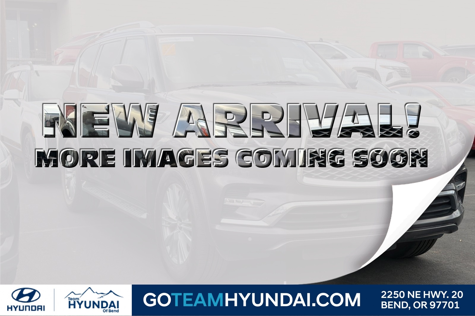 2024 INFINITI QX80 Luxe 4WD's photo