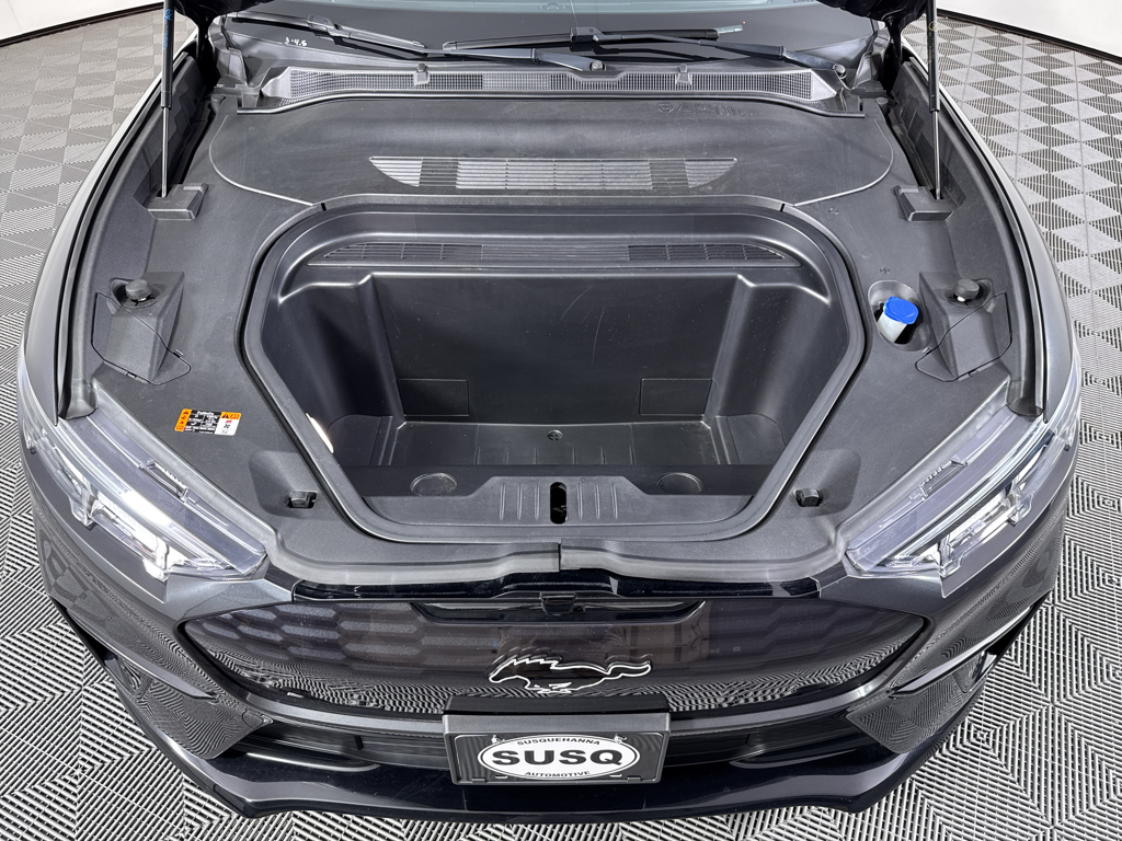 2022 Ford Mustang Mach-E GT photo 2