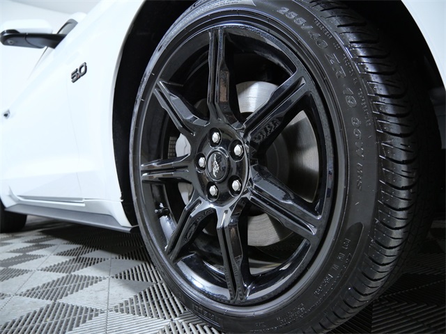 Certified 2019 Ford Mustang GT Premium with VIN 1FA6P8CF0K5133552 for sale in Apple Valley, Minnesota
