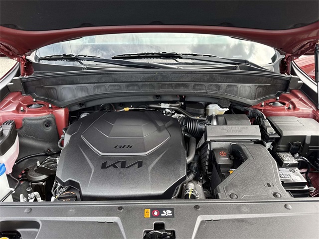 2024 Kia Telluride EX X-Line photo 11