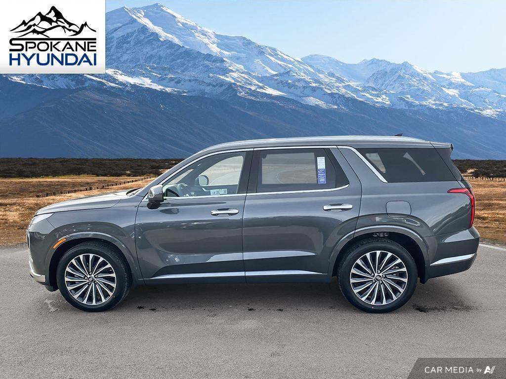 2025 Hyundai Palisade Calligraphy photo 2
