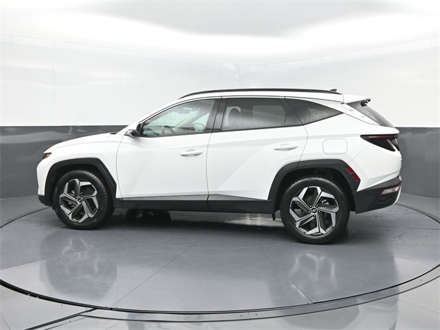 2024 Hyundai Tucson Limited photo 3