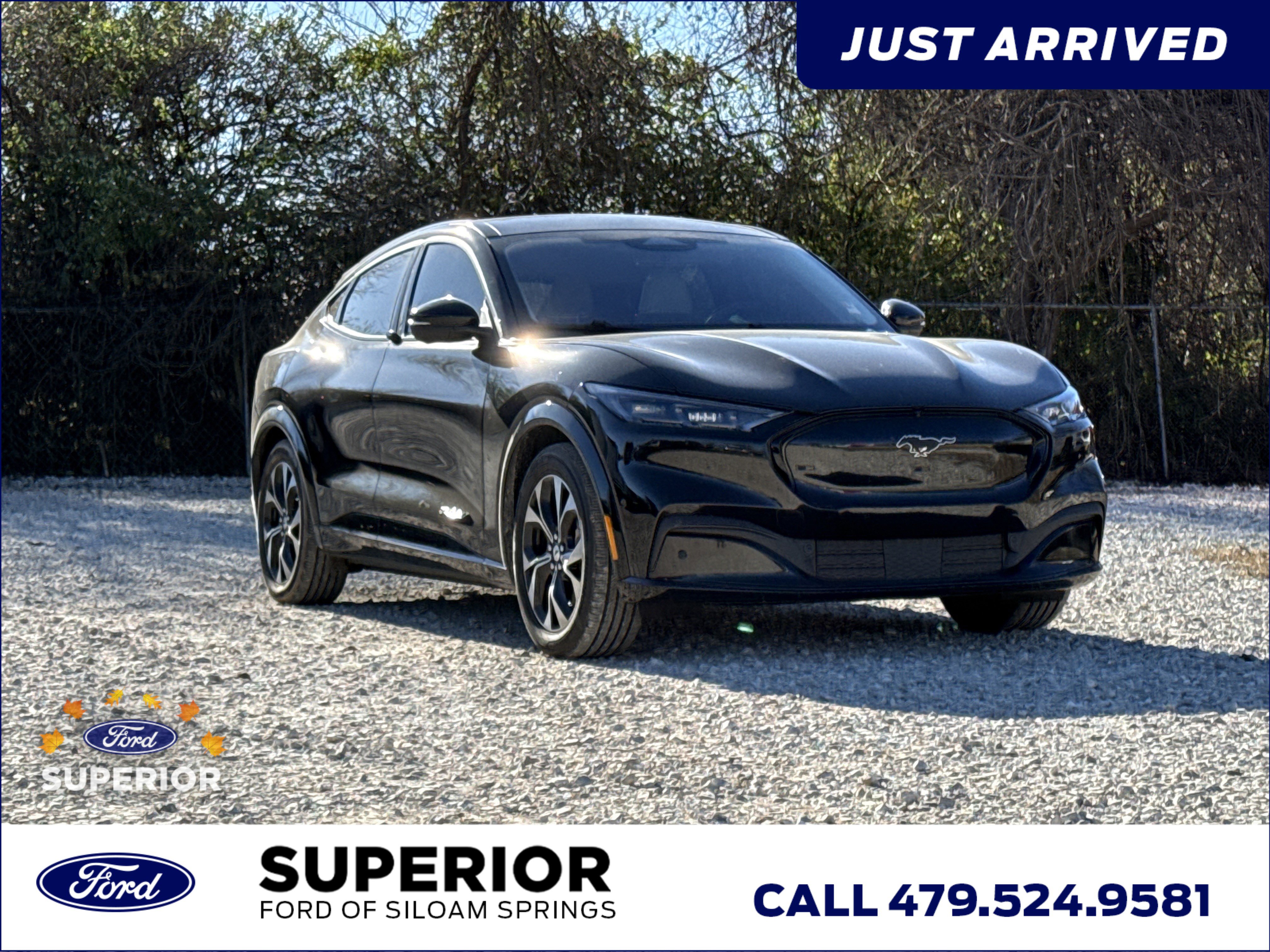 2021 Ford Mustang Mach-E Premium AWD's photo