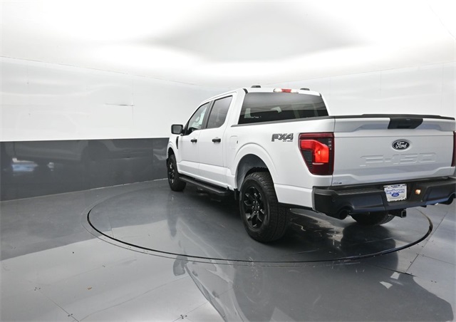 2025 Ford F-150 STX photo 5