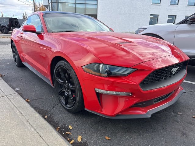 2019 Ford Mustang EcoBoost photo 3