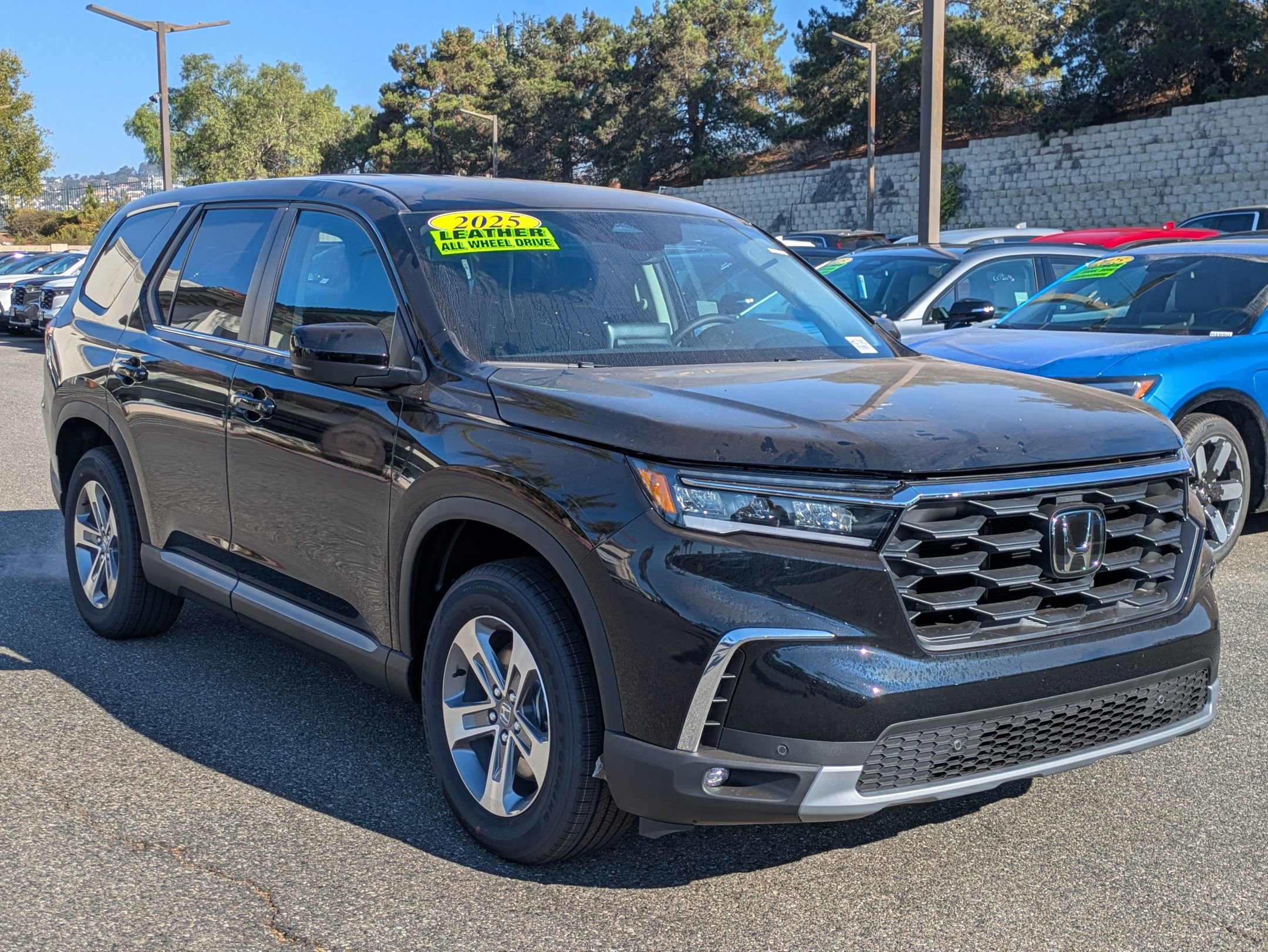 2025 Honda Pilot EX-L photo 7