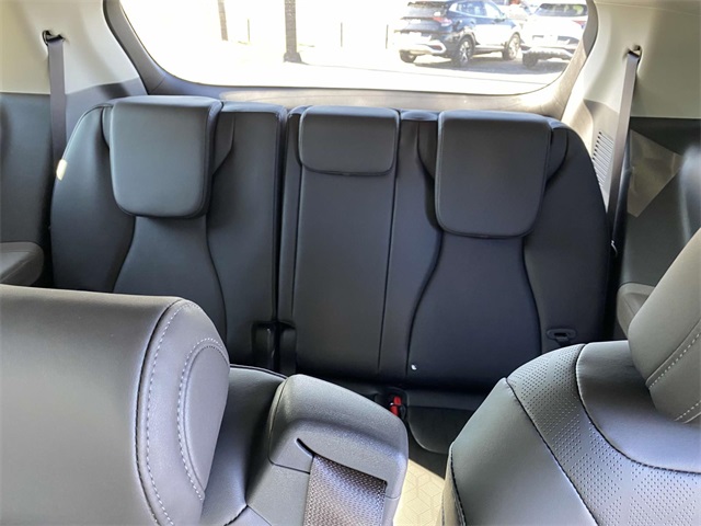 2025 Kia Carnival EX photo 10