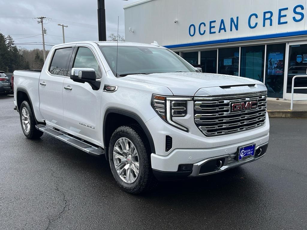 2025 Gmc Sierra 1500 Denali photo 2