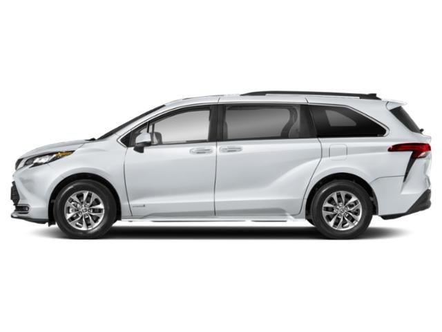 2025 Toyota Sienna XLE photo 3
