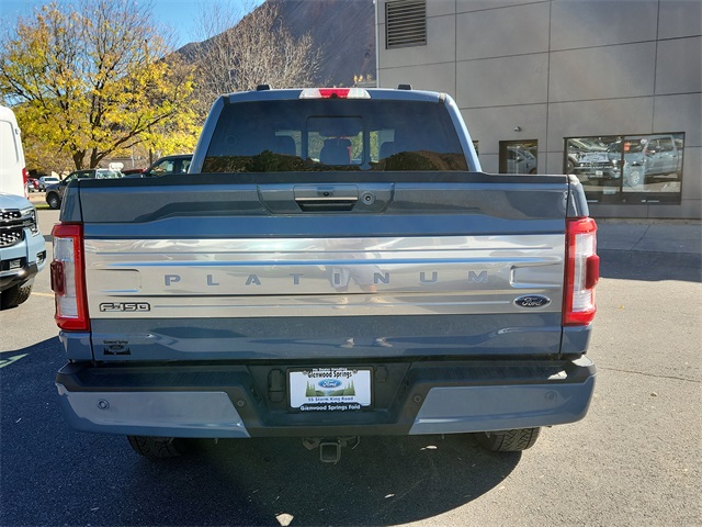 2023 Ford F-150 Platinum photo 4