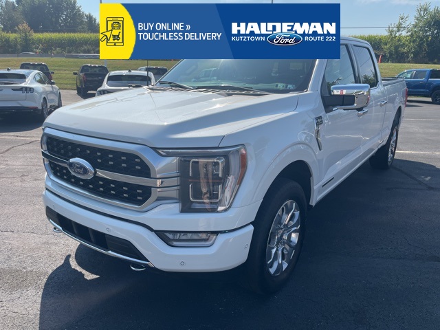 2023 Ford F-150 Platinum's photo