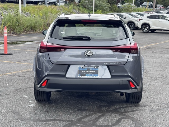 2025 Lexus UX Premium photo 5