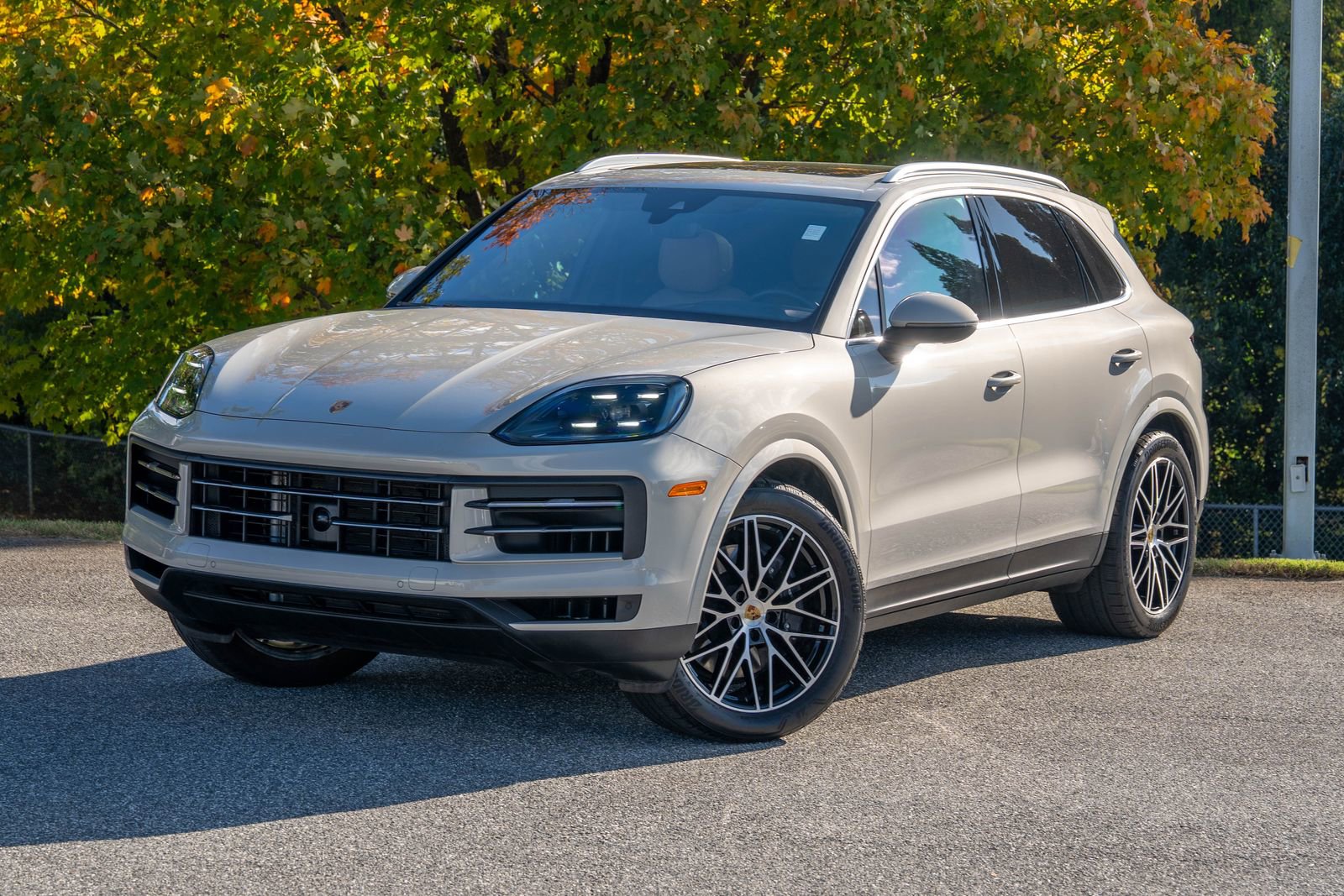 2024 Porsche Cayenne Standard's photo