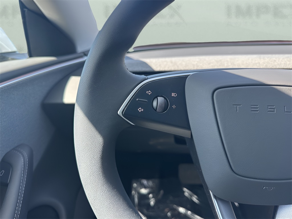 2025 Tesla Model 3 Long Range photo 15