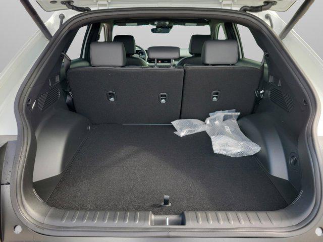 2025 Hyundai Ioniq 5 photo 4