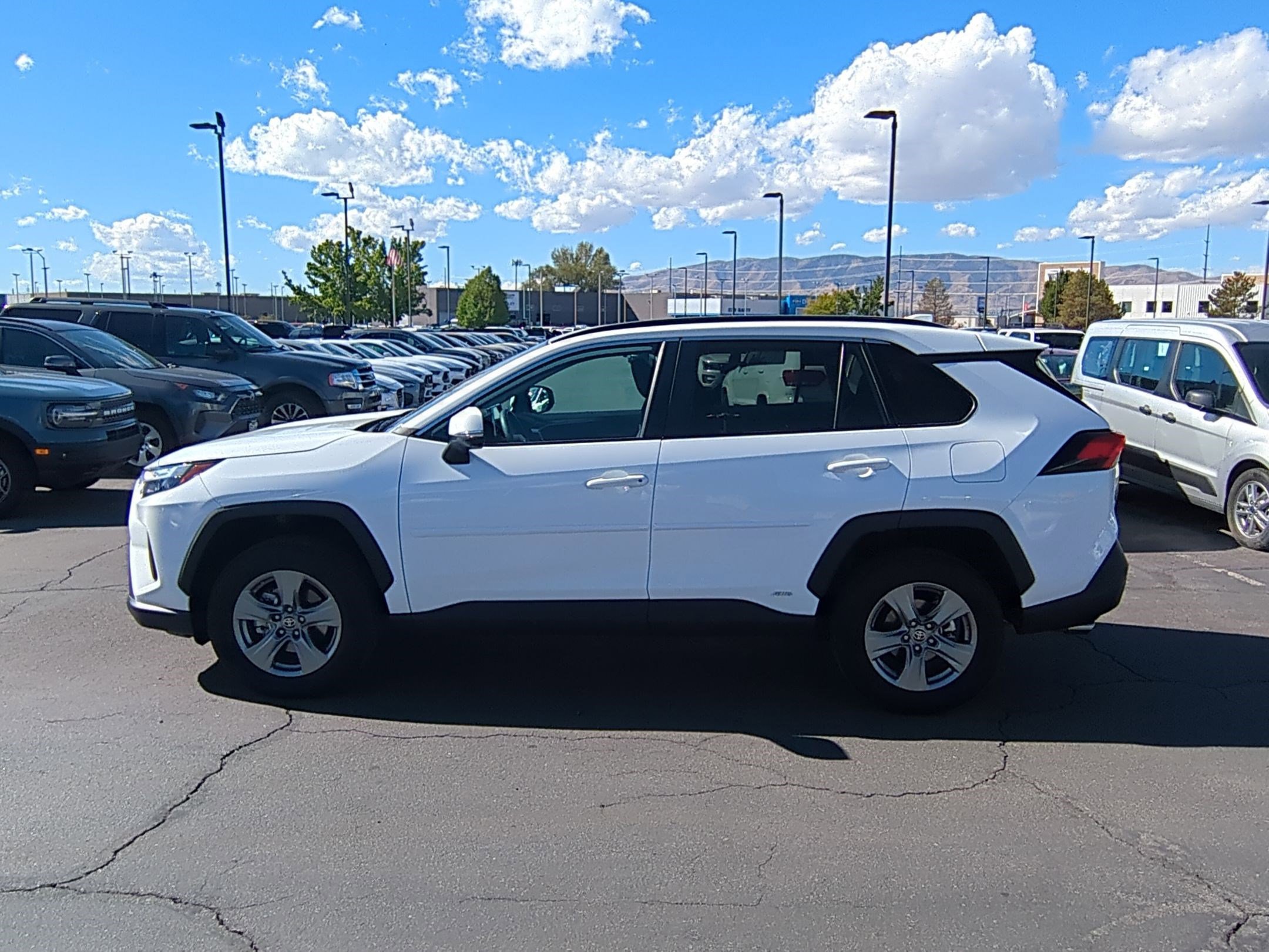 2024 Toyota RAV4 Hybrid LE photo 6