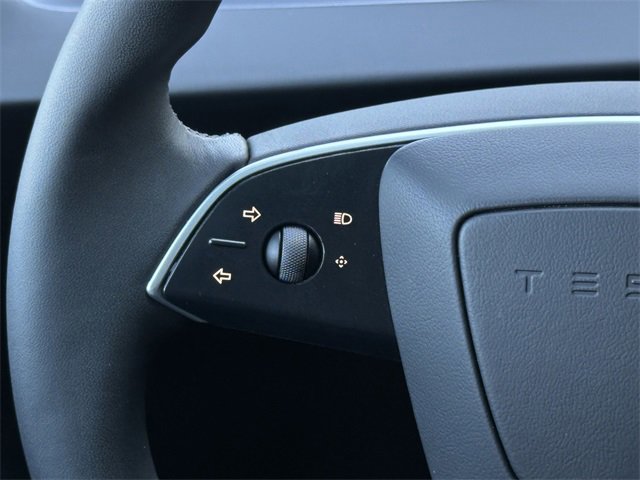 2025 Tesla Model 3 Long Range photo 11