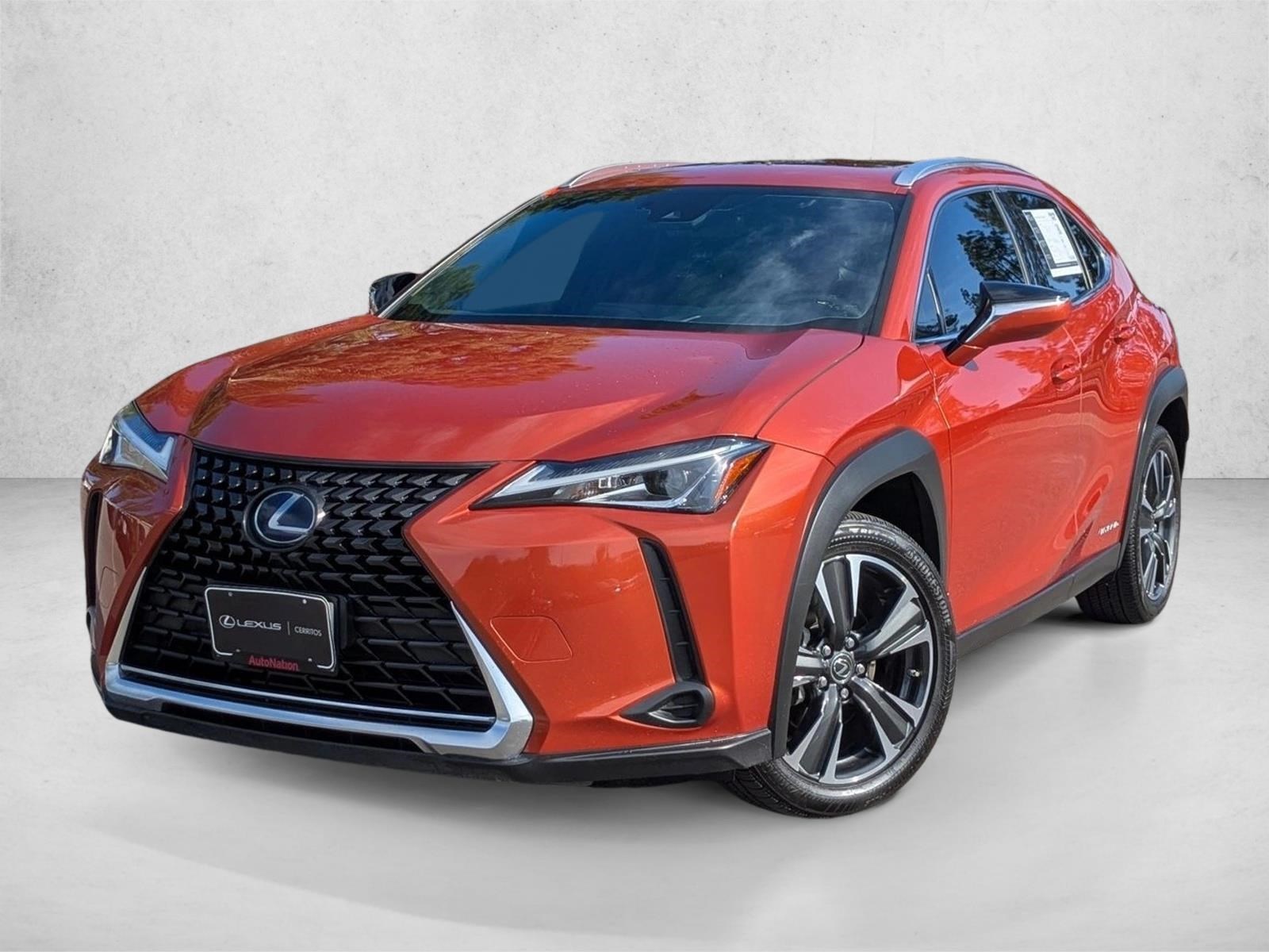2019 Lexus UX Hybrid 250h's photo