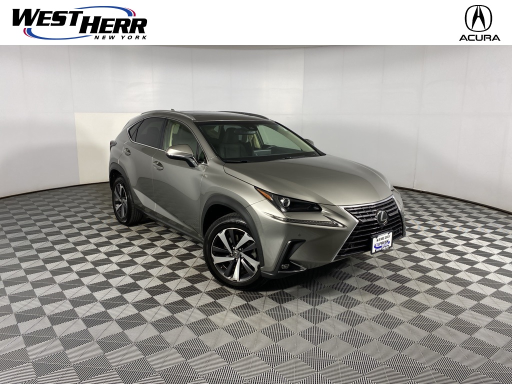 2019 Lexus NX 300's photo