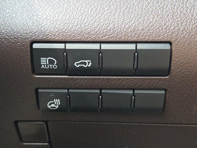 2019 Lexus RX 350 photo 14