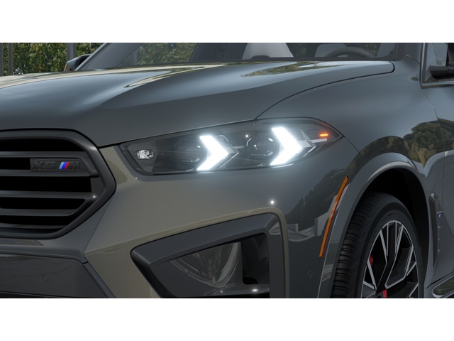 2026 Bmw X5 photo 5
