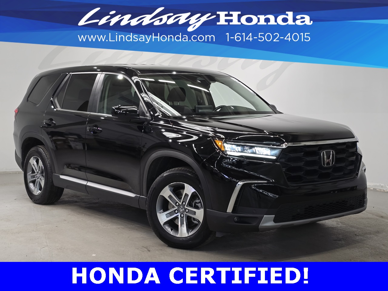 2024 Honda Pilot EX-L's photo