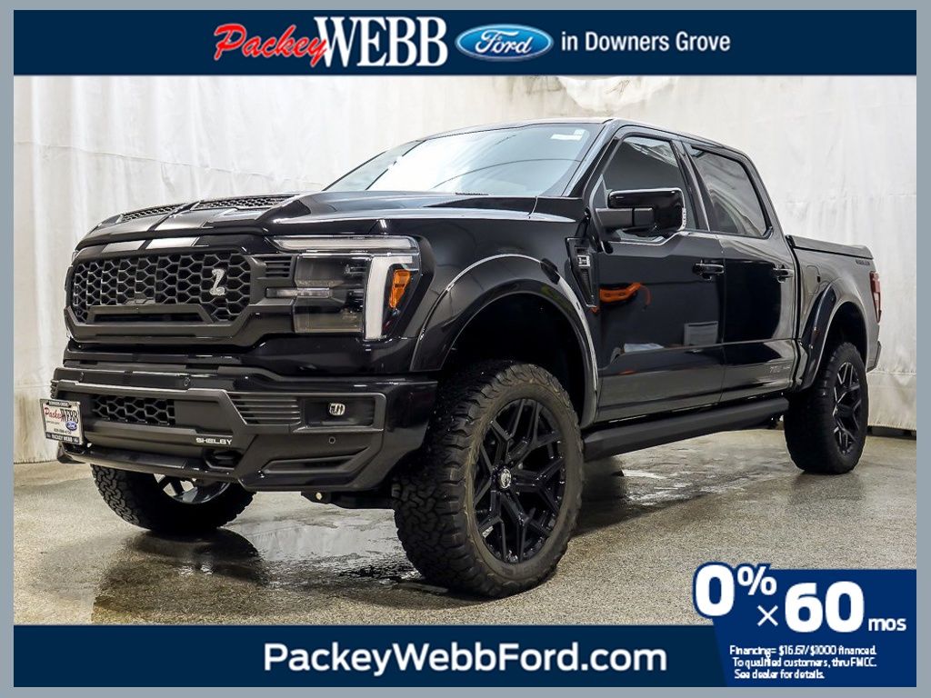 2025 FORD F-150 - Image 1