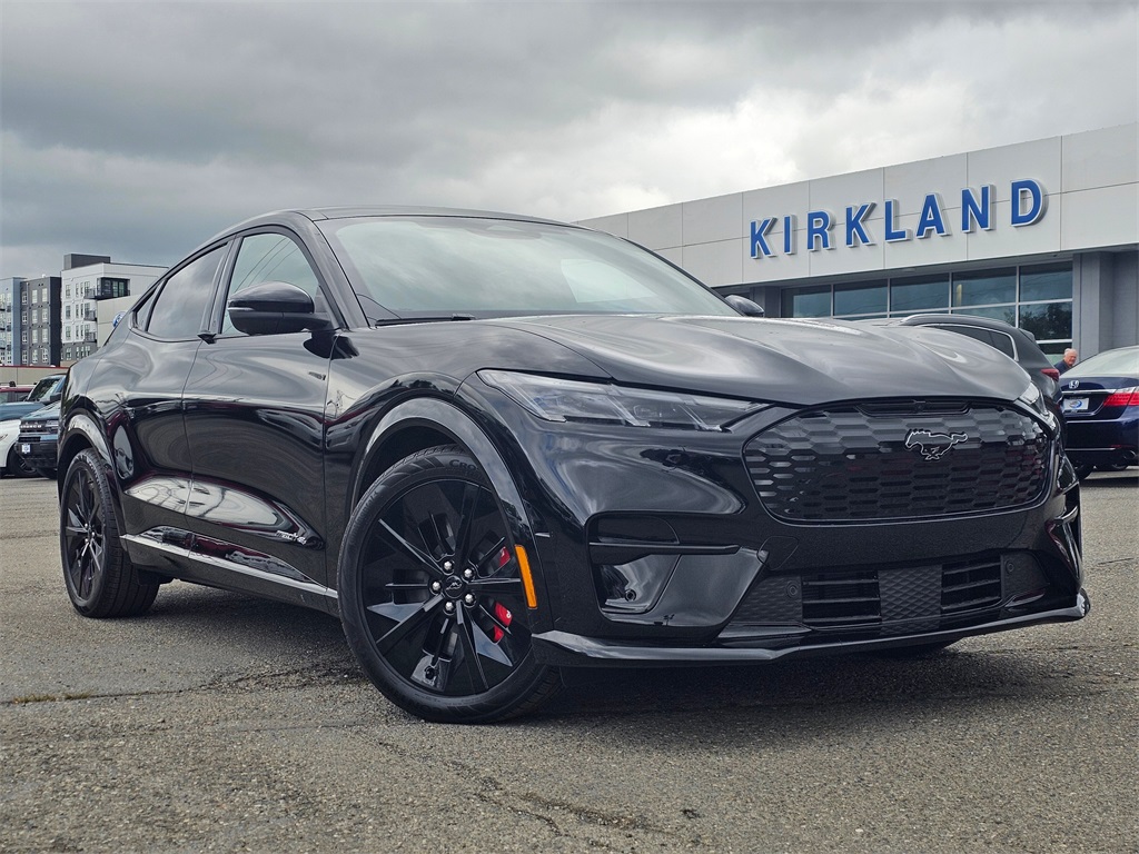 2025 Ford Mustang Mach-E GT AWD's photo