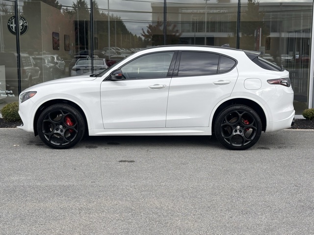 2025 Alfa Romeo Stelvio Tributo Italiano photo 2