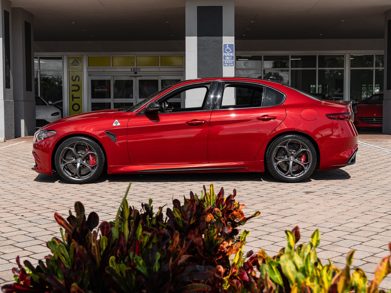 2020 Alfa Romeo Giulia Quadrifoglio photo 7