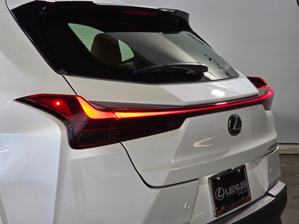 2025 Lexus UX photo 10