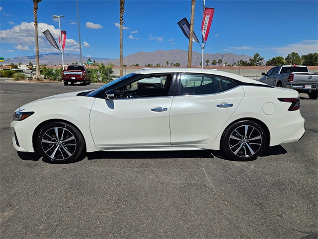 2023 Nissan Maxima SV photo 14