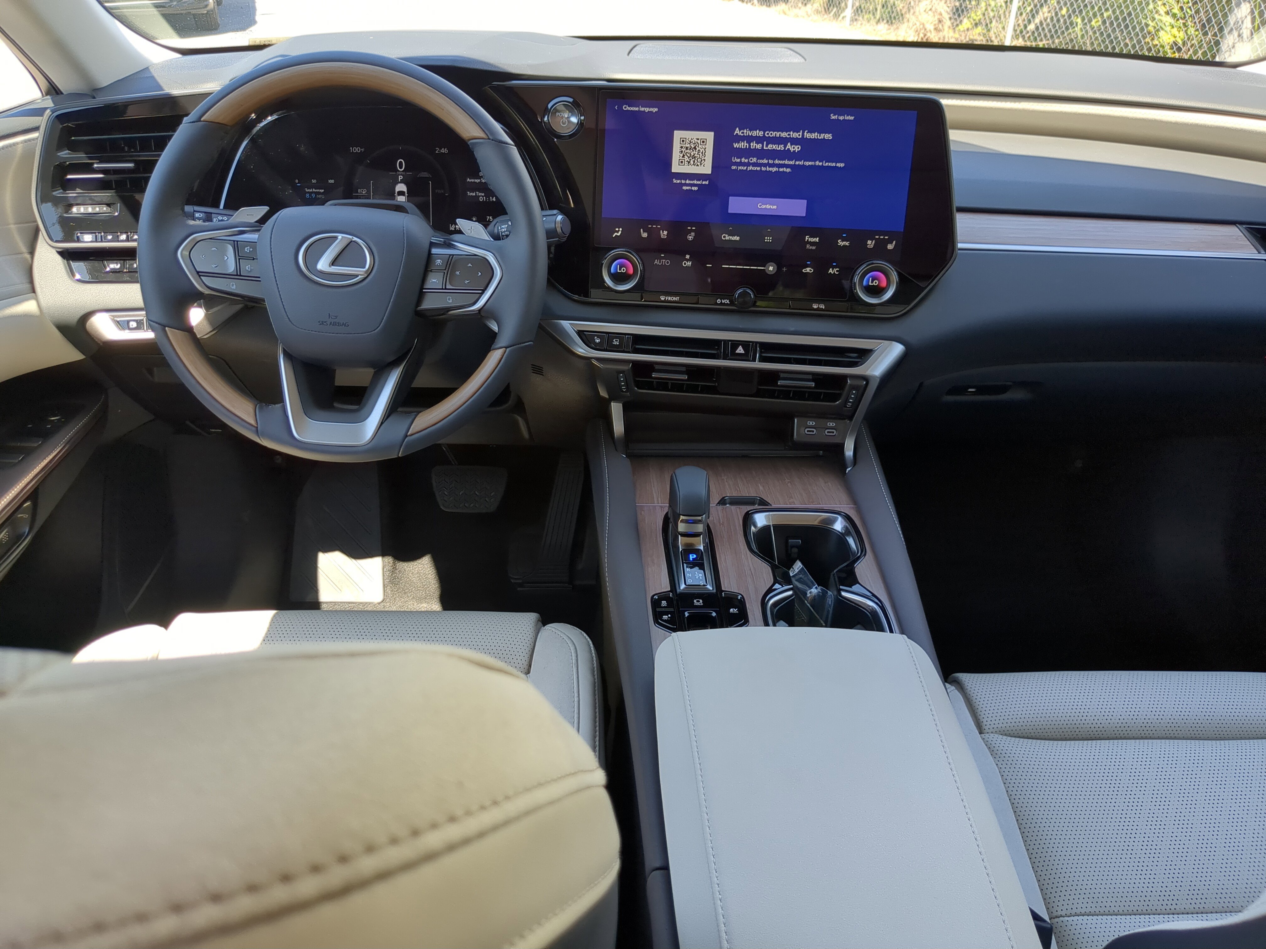 2025 Lexus RX 350h Luxury photo 11