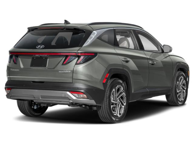 2026 Hyundai Tucson Hybrid Limited photo 3