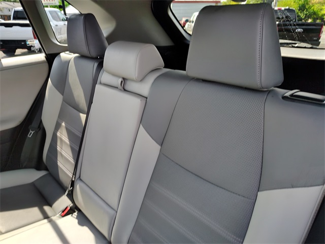 2019 Toyota RAV4 Limited photo 3