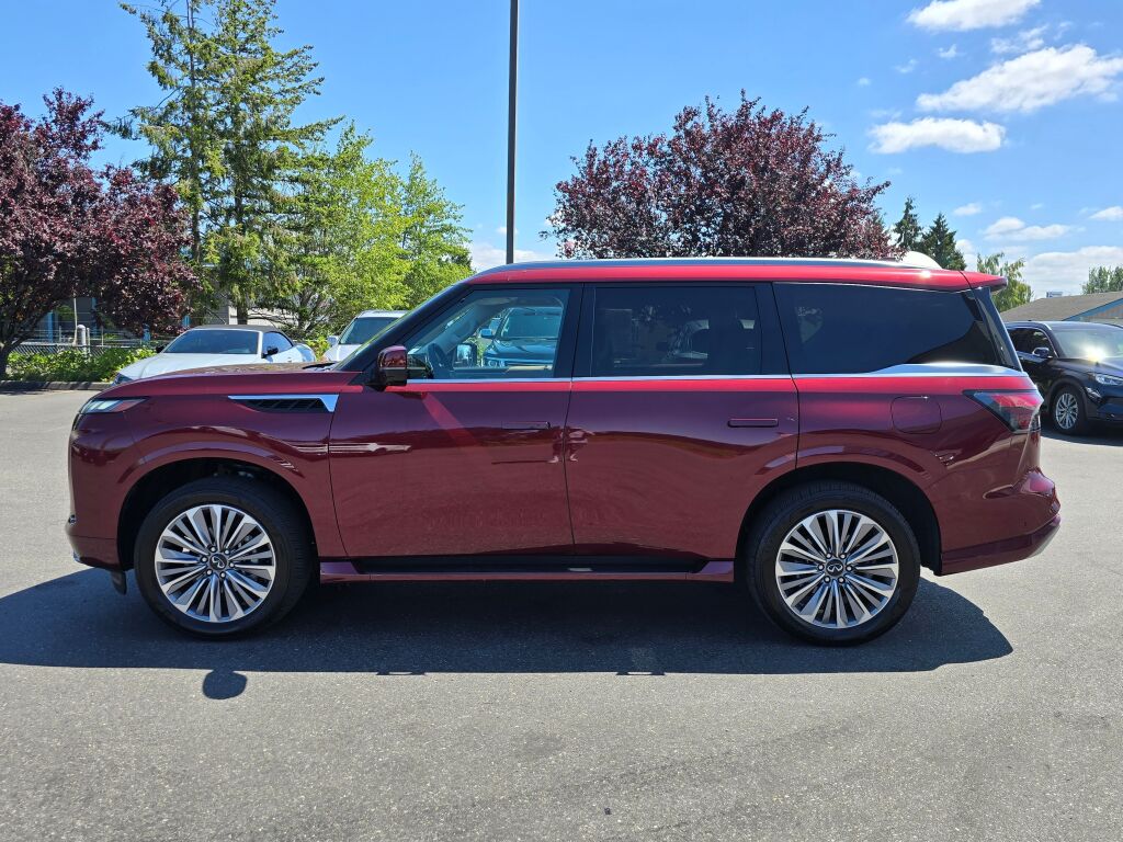 2025 Infiniti QX80 Luxe photo 4