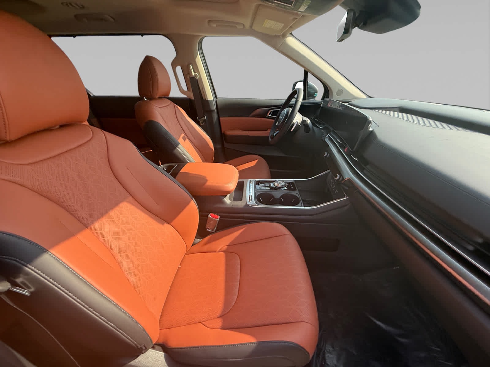 2026 Kia Carnival SX photo 15