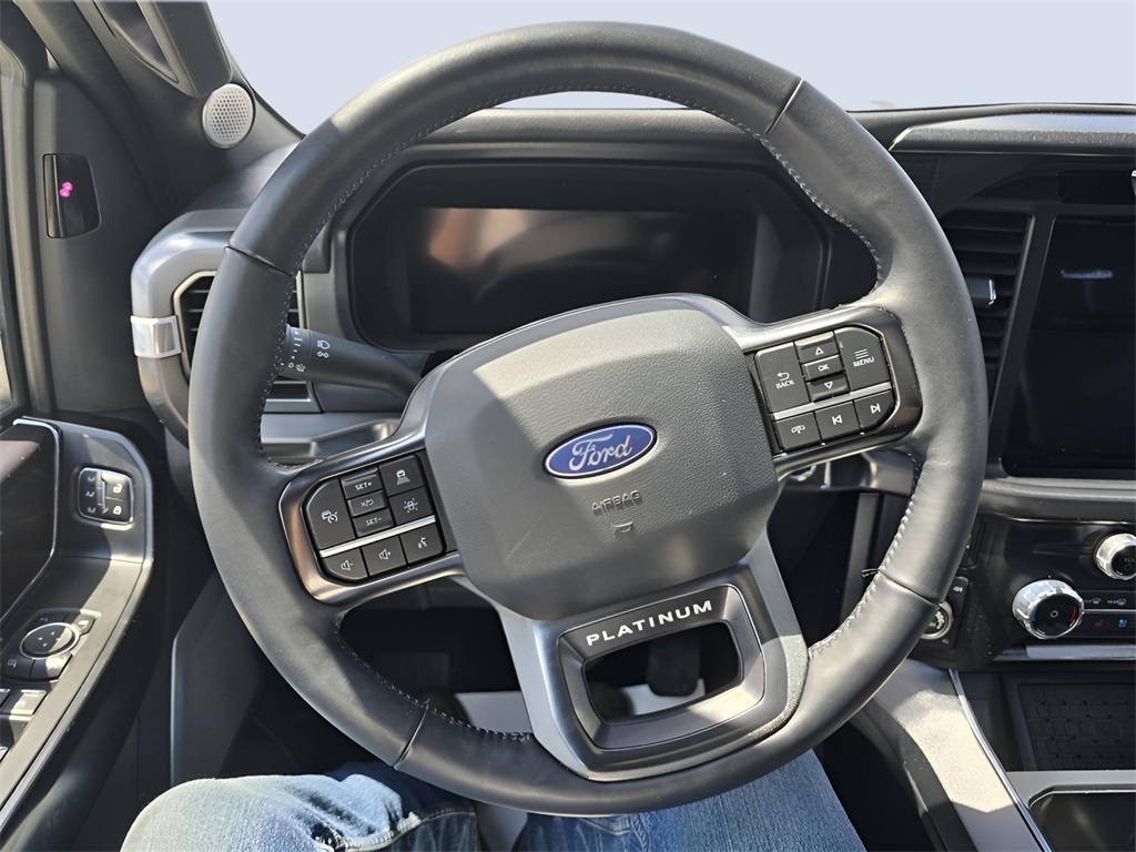 2024 Ford F-150 Platinum photo 11